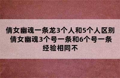 倩女幽魂一条龙3个人和5个人区别 倩女幽魂3个号一条和6个号一条经验相同不